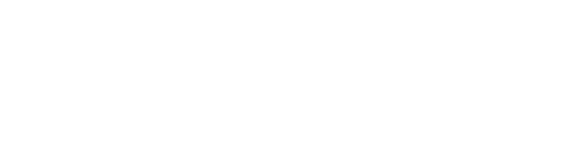 logo_cargostart